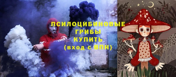 первитин Коряжма